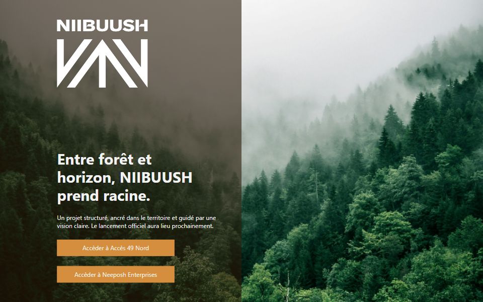 Page d'accueil de Niibuush